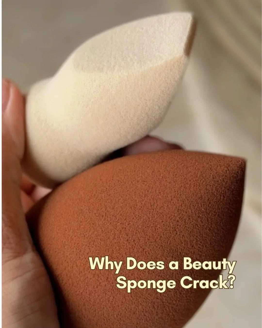 Why Does a Beauty Sponge Crack or Develop Mold?